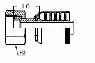 HF1P-WS 4SP-R12 - BSPP OR FS