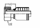 METRIC O-RING 24° CFS LD - DKOL1