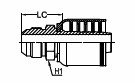 JIC 37° CONE MALE HF1P-WS 4SP-R12 - JIC M