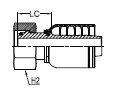 METRIC O-RING 24° CFS LD – DKOL1 METRIC O-RING 24° CFS LD - DKOL1